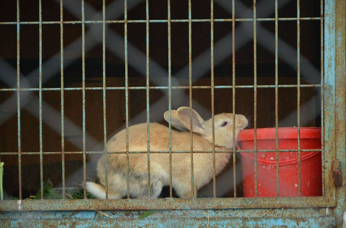 Kültürlü Fotoğraflara Ödül...