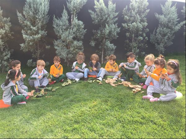    Kültürlü Çocuklar Yaprakların Damarları Olduğunu Öğreniyor