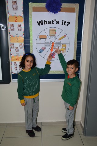Wheel Chart
